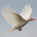 สมาชิกหมายเลข 3847971