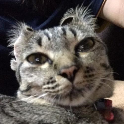 สมาชิกหมายเลข 2314037