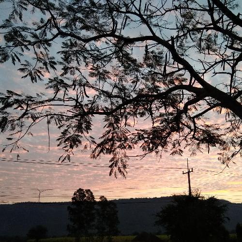 สมาชิกหมายเลข 4945479