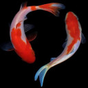 สมาชิกหมายเลข 5562345