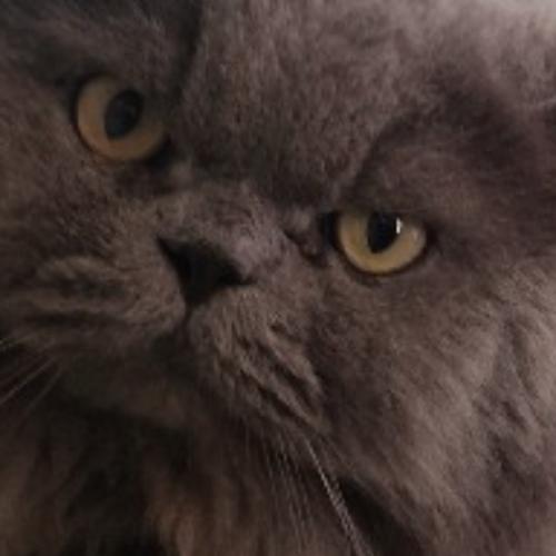 สมาชิกหมายเลข 3724311