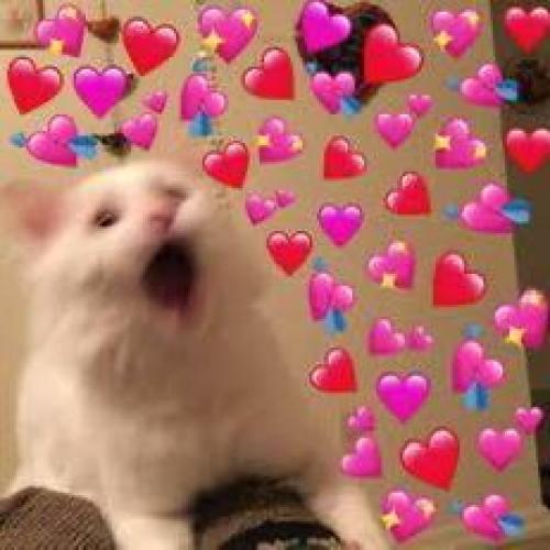 สมาชิกหมายเลข 8417201