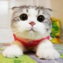 สมาชิกหมายเลข 2861273