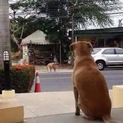 สมาชิกหมายเลข 3812963