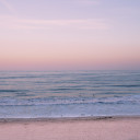 สมาชิกหมายเลข 4237422