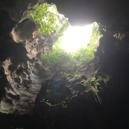 สมาชิกหมายเลข 5018053