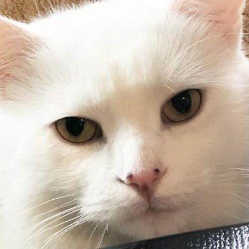 สมาชิกหมายเลข 5761217