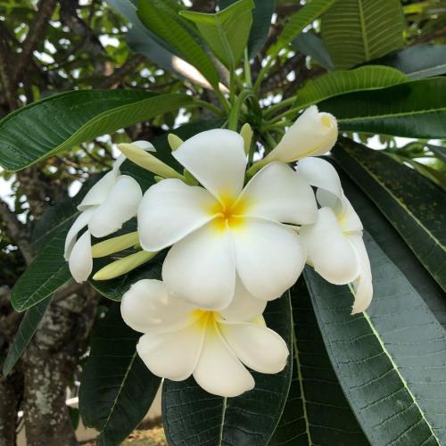 สมาชิกหมายเลข 5738655