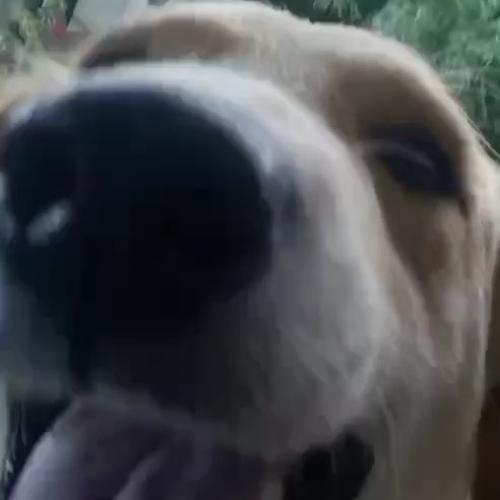 สมาชิกหมายเลข 8119014