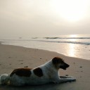 สมาชิกหมายเลข 3962831