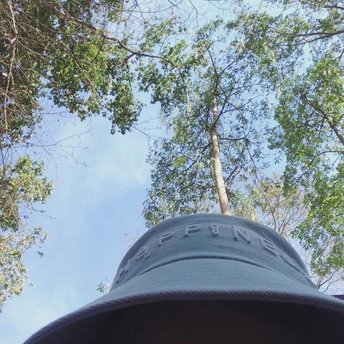 สมาชิกหมายเลข 1989070