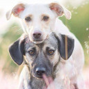 สมาชิกหมายเลข 3167636