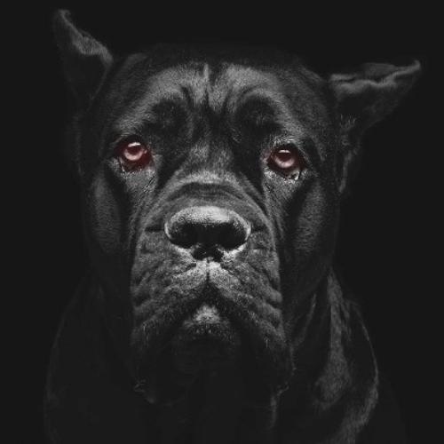 สมาชิกหมายเลข 4280458