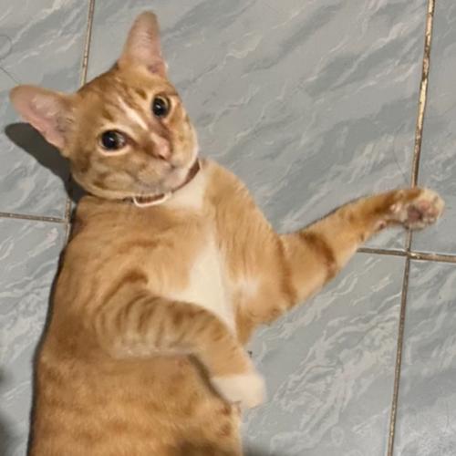 สมาชิกหมายเลข 6120992