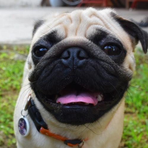 สมาชิกหมายเลข 6122158