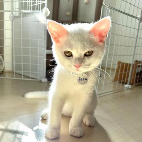 สมาชิกหมายเลข 7511523