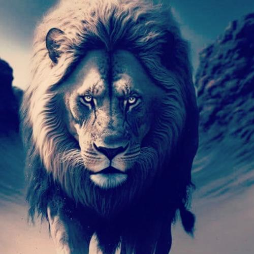 สมาชิกหมายเลข 3085238