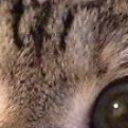 สมาชิกหมายเลข 4439690