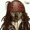 สมาชิกหมายเลข 2053292