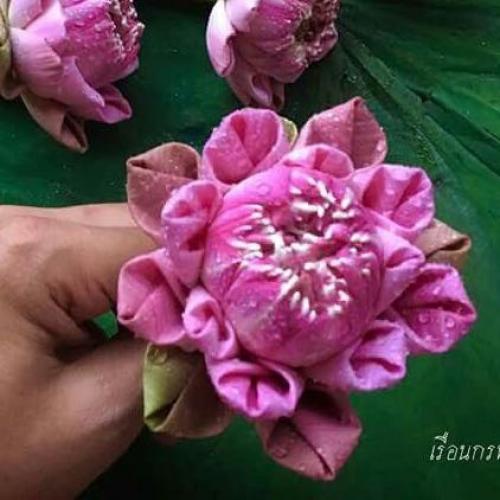 สมาชิกหมายเลข 971727