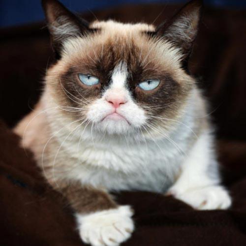 สมาชิกหมายเลข 5160794