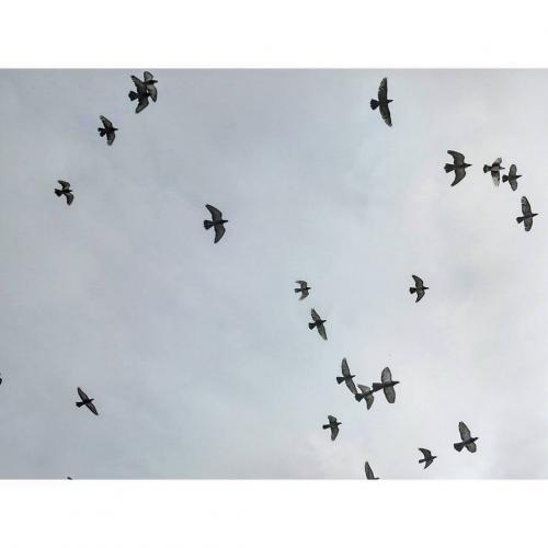 สมาชิกหมายเลข 5160915