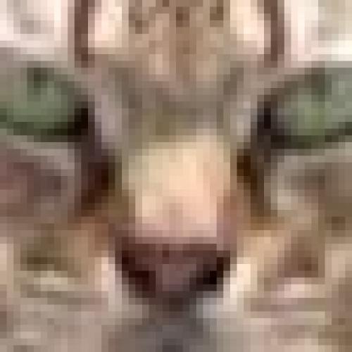 สมาชิกหมายเลข 5564270