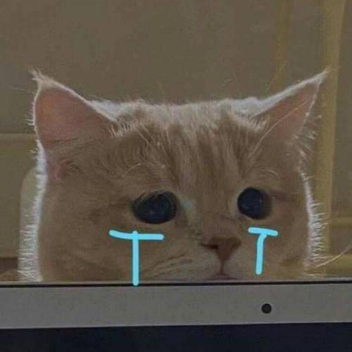 สมาชิกหมายเลข 6389380