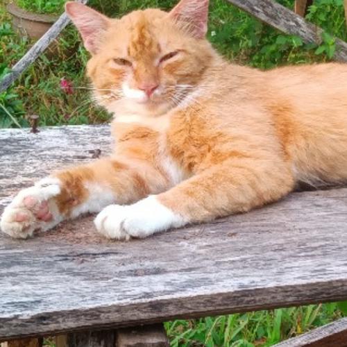 สมาชิกหมายเลข 3554557