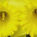 สมาชิกหมายเลข 3964102