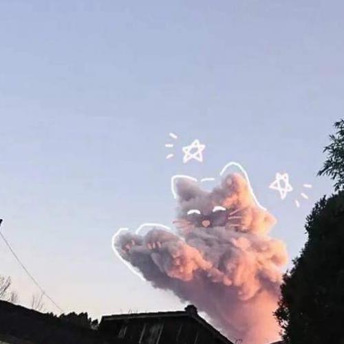 สมาชิกหมายเลข 1372695