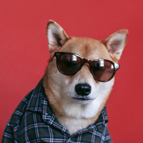 สมาชิกหมายเลข 4782971