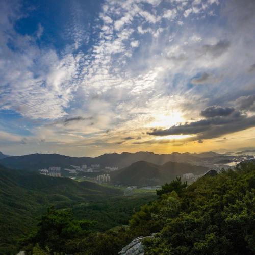 สมาชิกหมายเลข 4783544