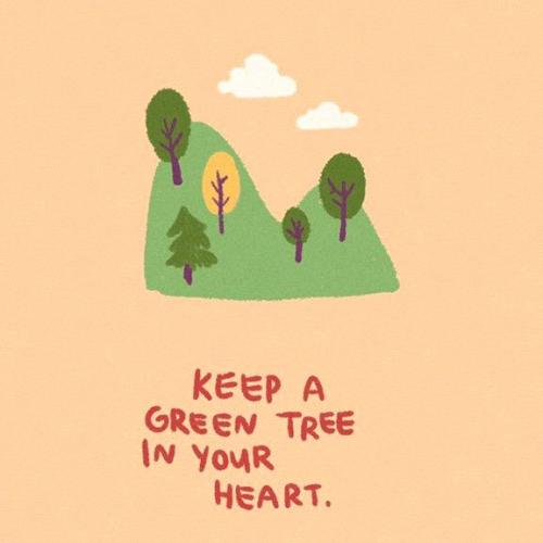 สมาชิกหมายเลข 1338866