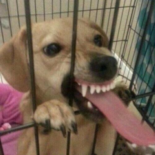 สมาชิกหมายเลข 5161347