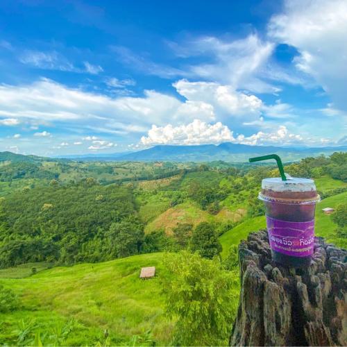 สมาชิกหมายเลข 4551983