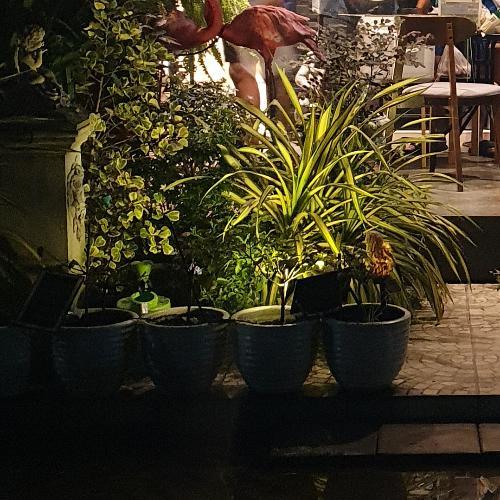 สมาชิกหมายเลข 4866526