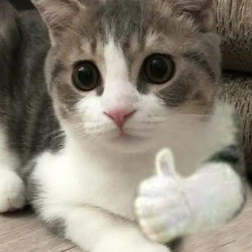 สมาชิกหมายเลข 5826189