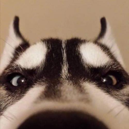 สมาชิกหมายเลข 6122772