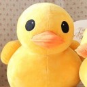 สมาชิกหมายเลข 3962784