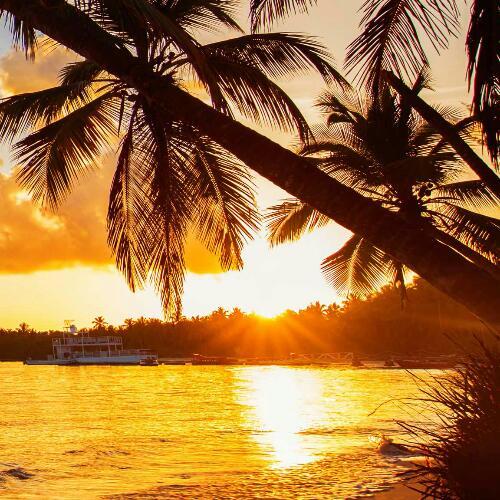 สมาชิกหมายเลข 4167523