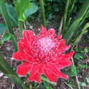 สมาชิกหมายเลข 4282553