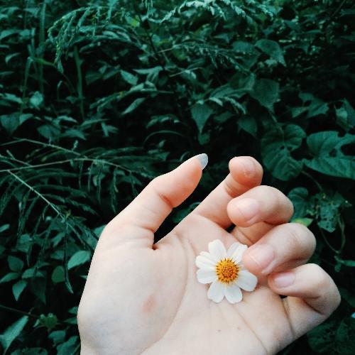 สมาชิกหมายเลข 4755252