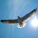 สมาชิกหมายเลข 4783806