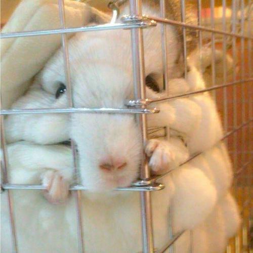 สมาชิกหมายเลข 4784096