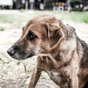 สมาชิกหมายเลข 4784103