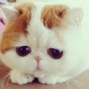 สมาชิกหมายเลข 5565118