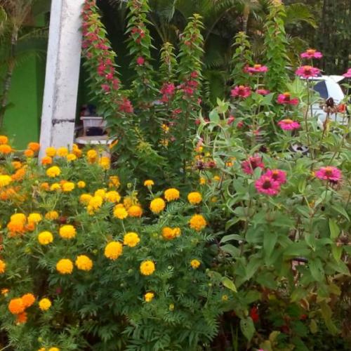 สมาชิกหมายเลข 3066944