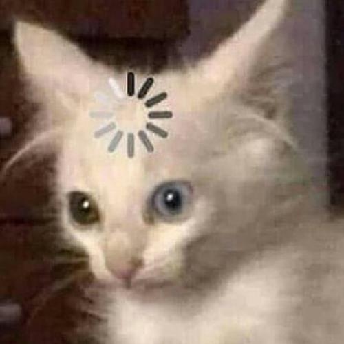 สมาชิกหมายเลข 4009695