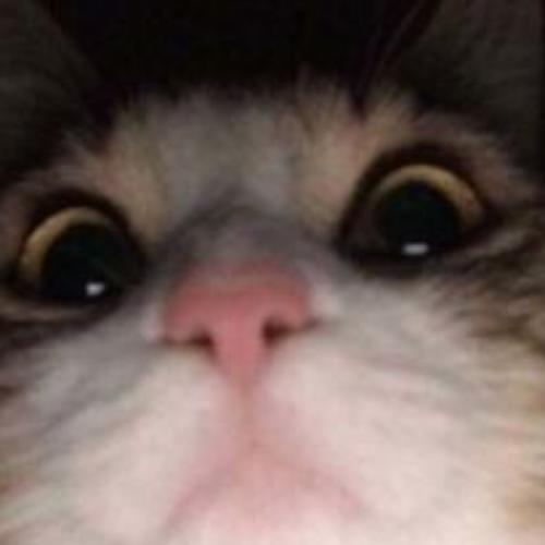 สมาชิกหมายเลข 5376871